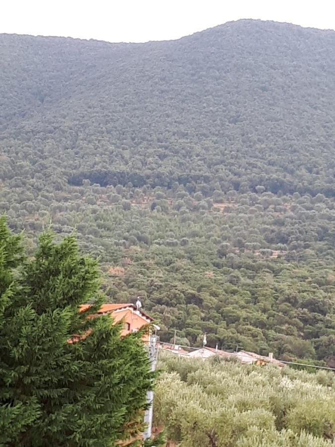 B&B Porta Del Gargano サン・マルコ・イン・ラーミス エクステリア 写真