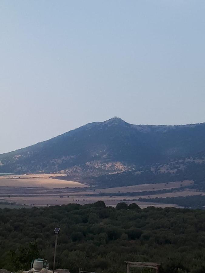 B&B Porta Del Gargano サン・マルコ・イン・ラーミス エクステリア 写真