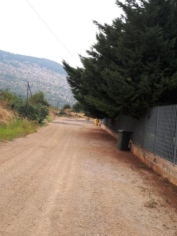B&B Porta Del Gargano サン・マルコ・イン・ラーミス エクステリア 写真