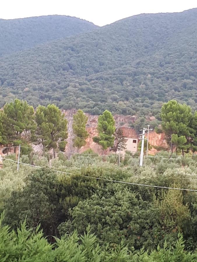 B&B Porta Del Gargano サン・マルコ・イン・ラーミス エクステリア 写真
